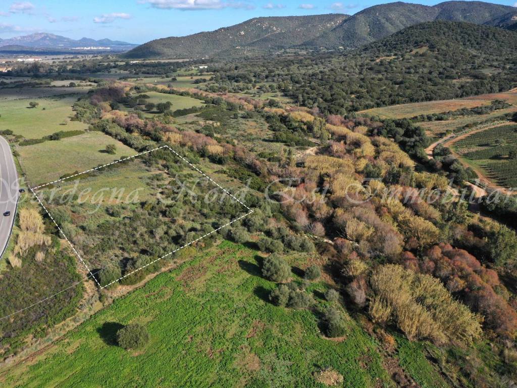 Terreno a Loiri porto san paolo in SP87 - Foto 2