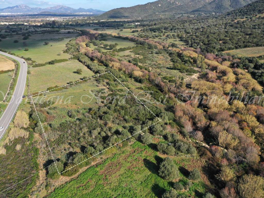 Terreno a Loiri porto san paolo in SP87 - Foto 3