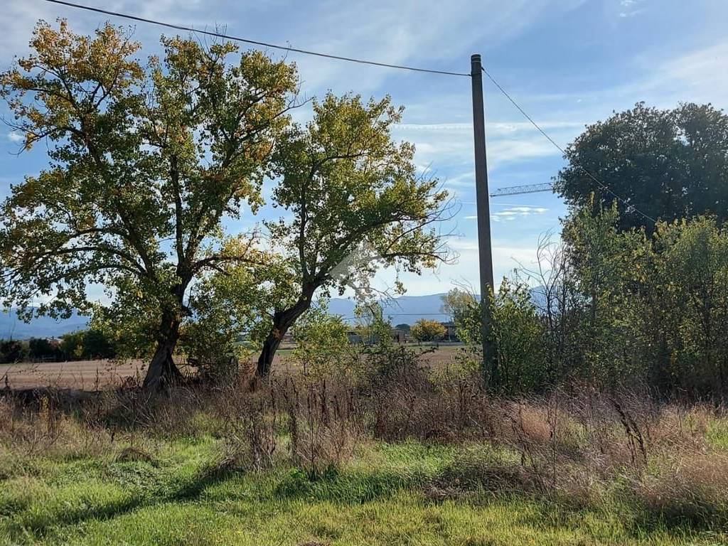 Rustico / casale a Cannara in Via Collemancio - Foto 4