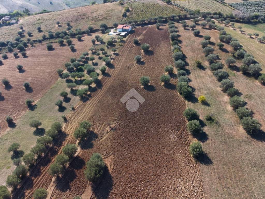 Rustico / casale a Roseto degli abruzzi in Contrada Borsacchio - Foto 2