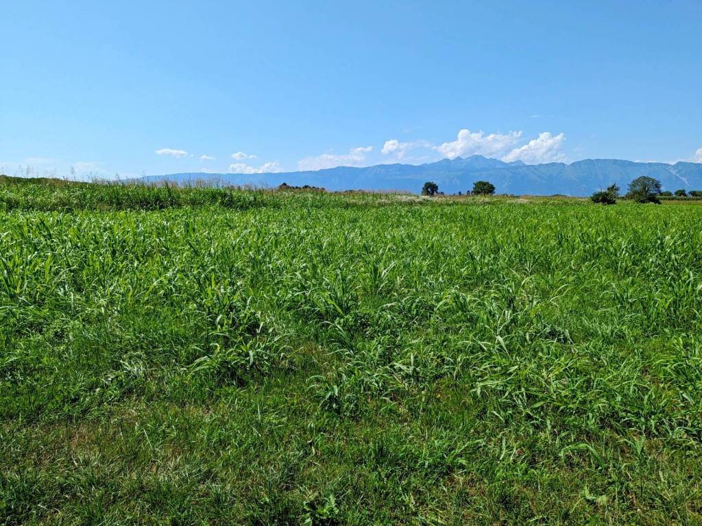 Terreno a Cordenons in Via Vialus - Foto 2