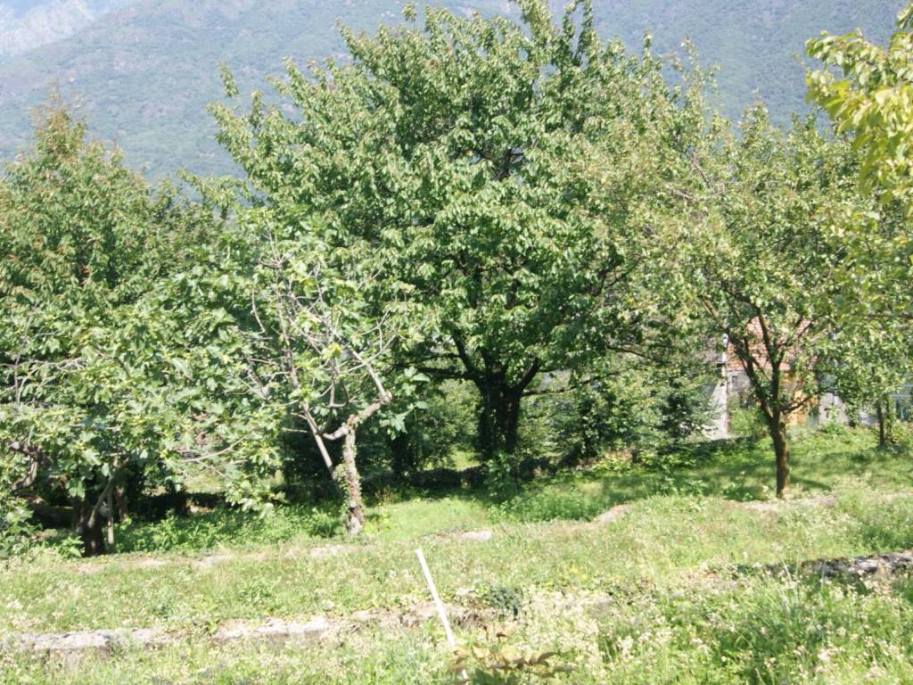 Casa indipendente a Ornavasso in Frazione Migiandone - Foto 4
