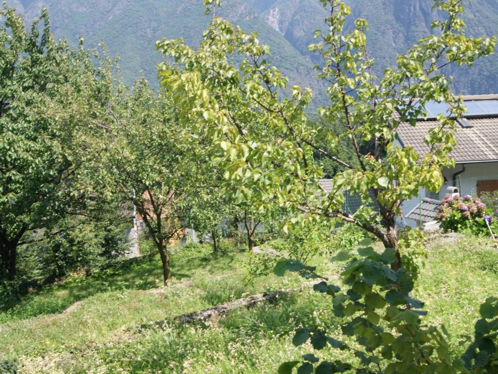 Casa indipendente a Ornavasso in Frazione Migiandone - Foto 5