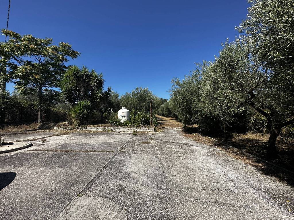 Rustico / casale a Alanno - Foto 5