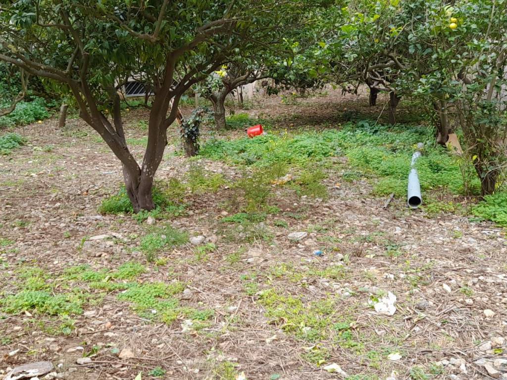 Terreno a Cinisi in Via Santa Croce - Foto 3