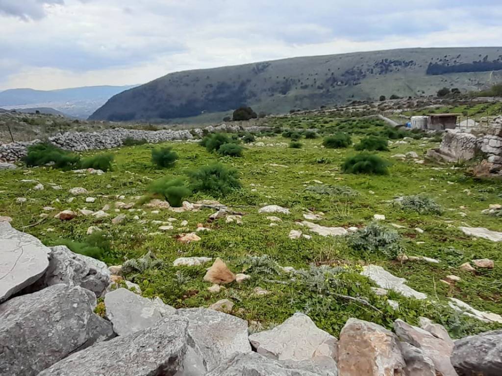 Terreno a Cinisi in Contrada Acitella - Foto 4