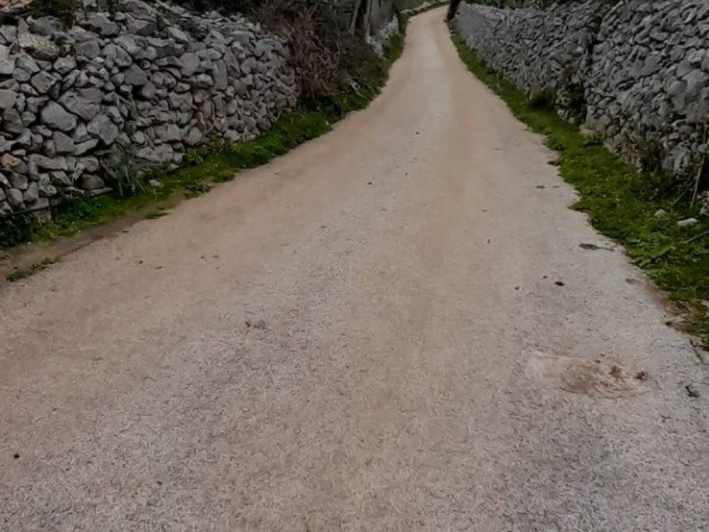 Terreno a Cinisi in Contrada Acitella - Foto 5