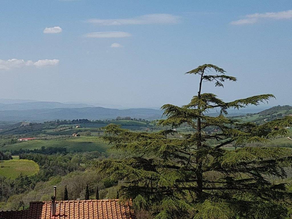 Rustico / casale a Manciano - Foto 5