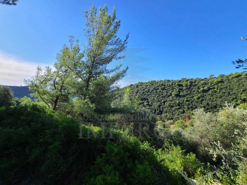 Terreno a Camporosso in san giacomo - Foto 3