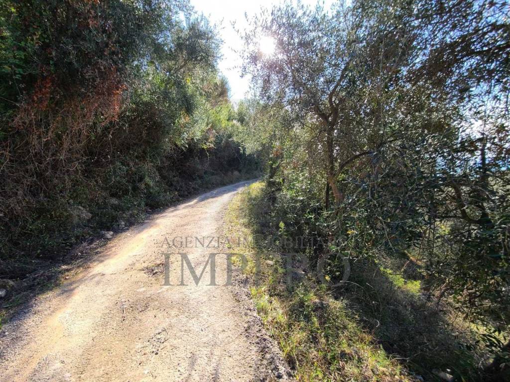 Terreno a Camporosso in san giacomo - Foto 4