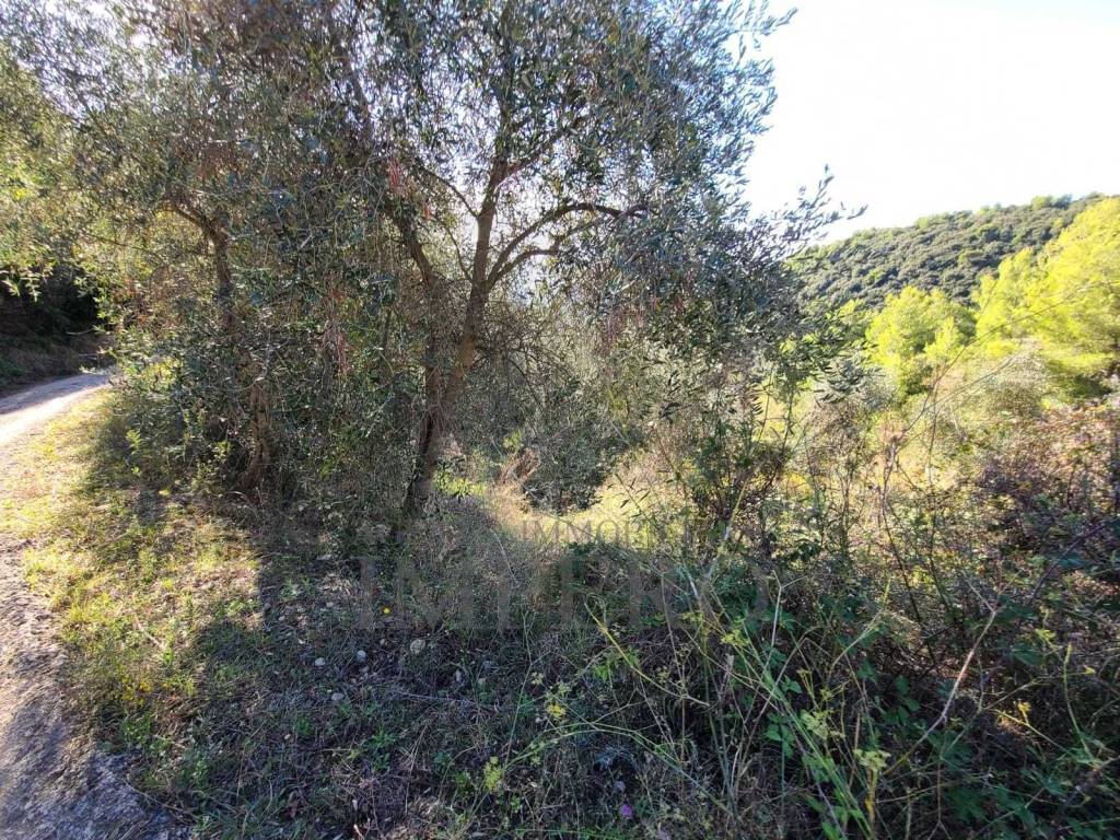 Terreno a Camporosso in san giacomo - Foto 5