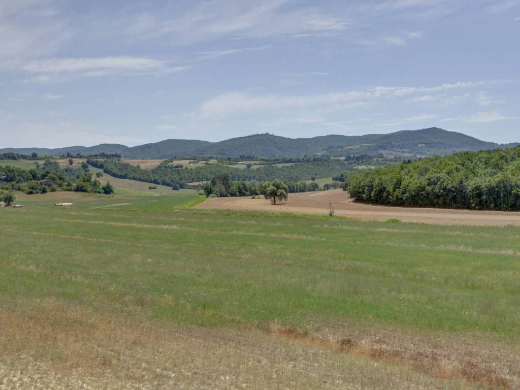 Immobile a Città della pieve - Foto 3