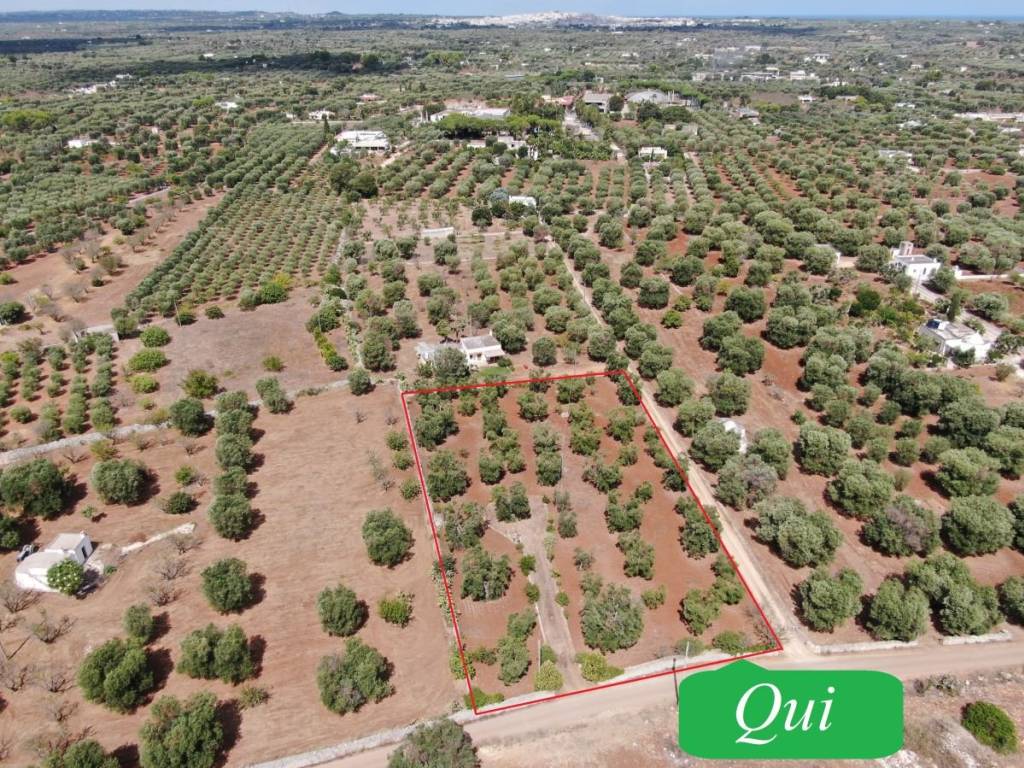Terreno a Carovigno in SS16 - Foto 2