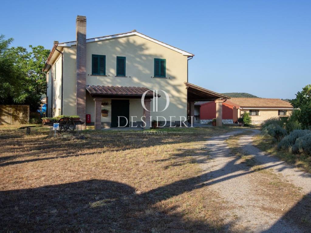 Terreno a Magliano in toscana in Poggio alla Mozza , - Foto 2