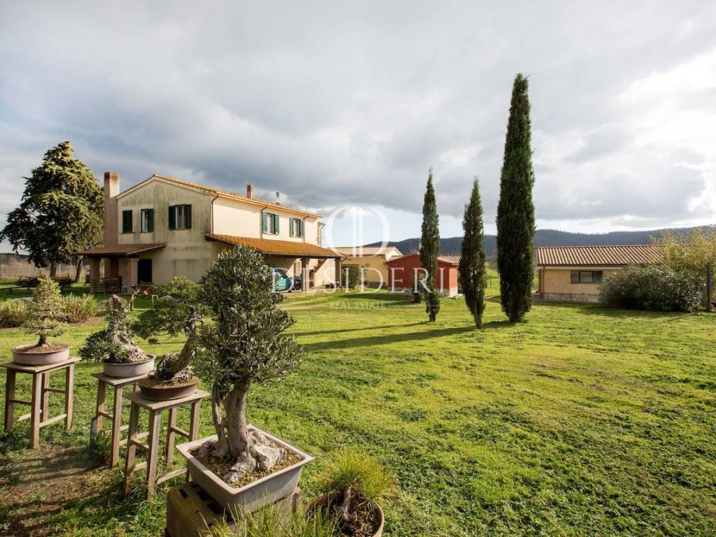 Terreno a Magliano in toscana in Poggio alla Mozza , - Foto 5