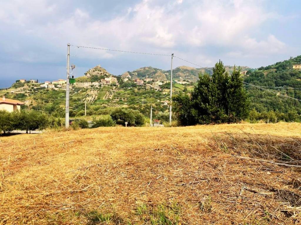 Terreno a Belvedere marittimo in Contrada Sant'Andrea - Foto 3
