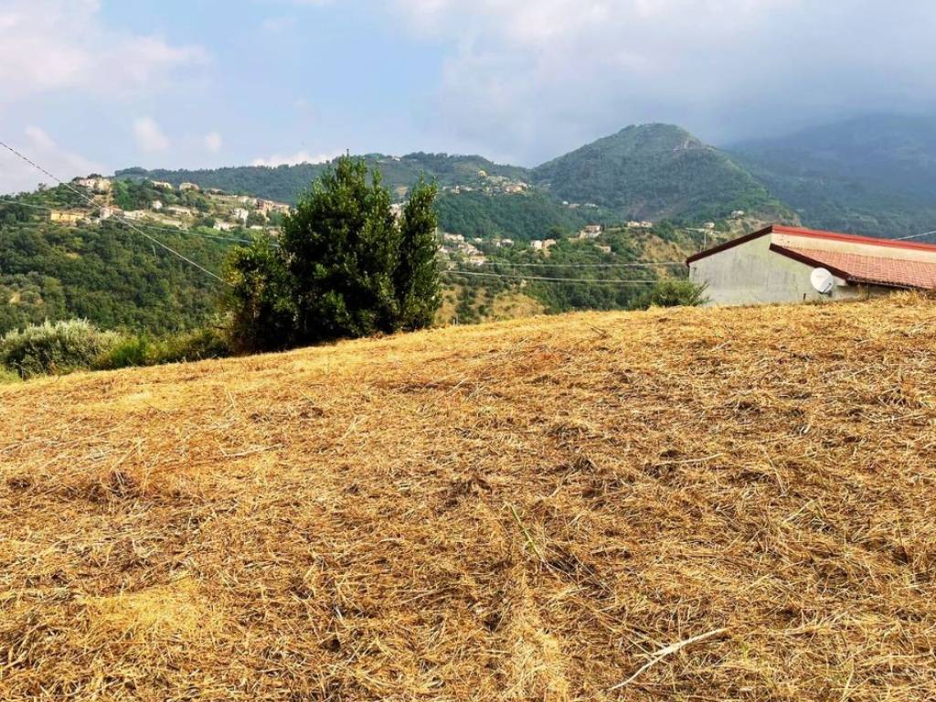 Terreno a Belvedere marittimo in Contrada Sant'Andrea - Foto 4