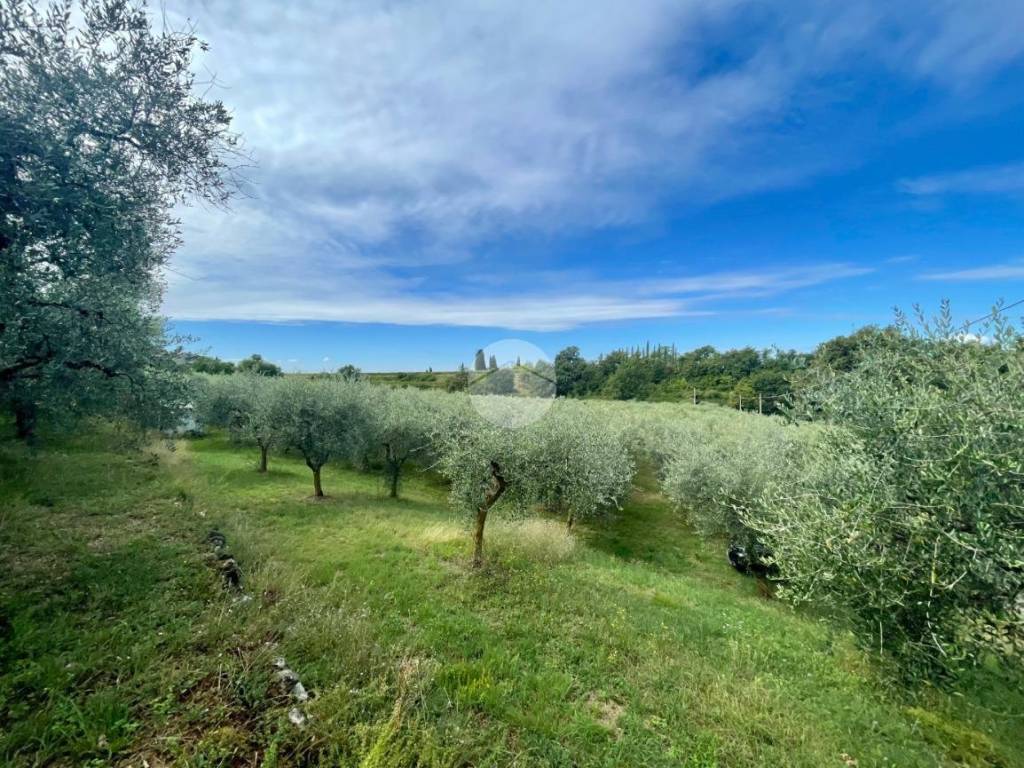 Terreno a Bardolino - Foto 3