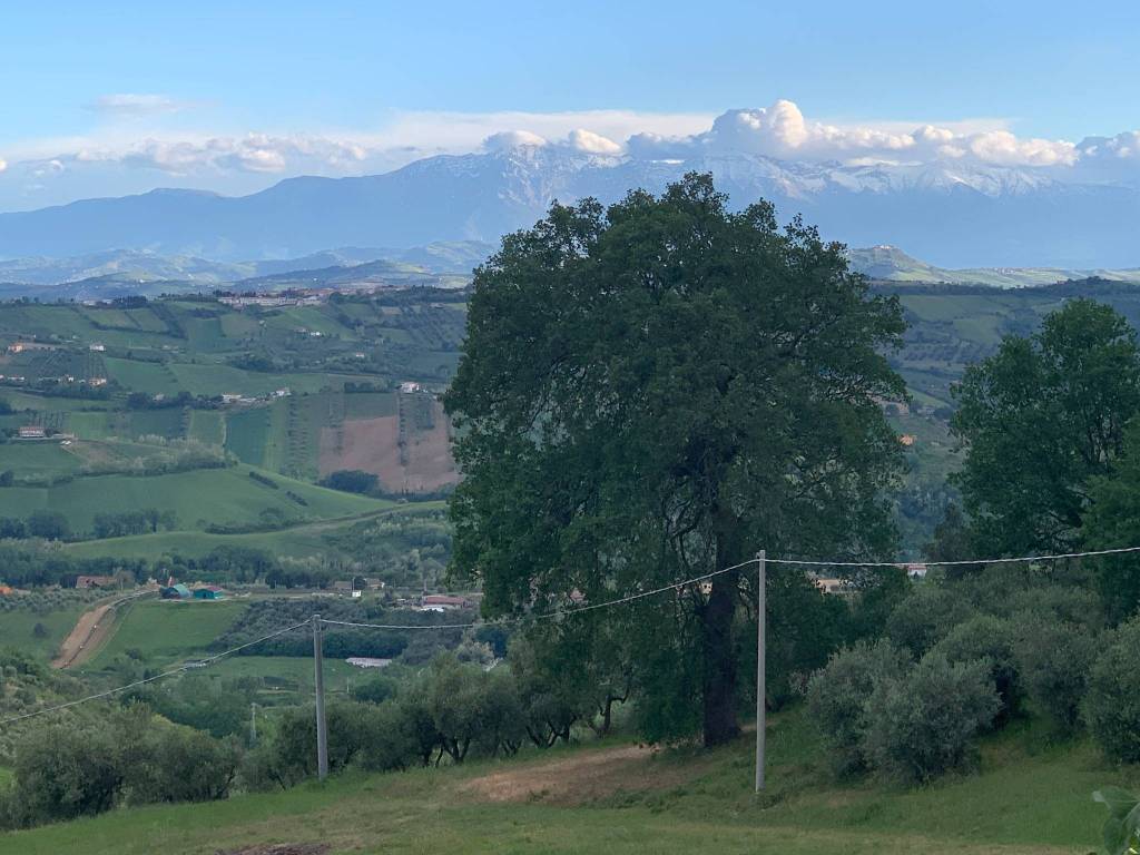 Terreno a Tortoreto - Foto 4