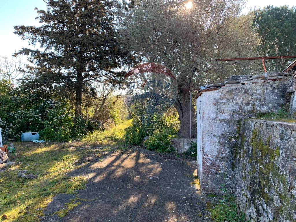 Rustico / casale a Polignano a mare in C.da Zerraglia - Foto 2