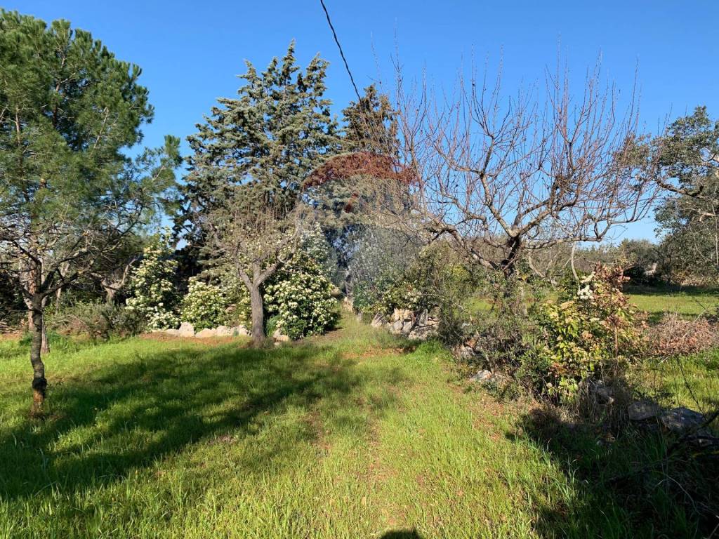 Rustico / casale a Polignano a mare in C.da Zerraglia - Foto 4