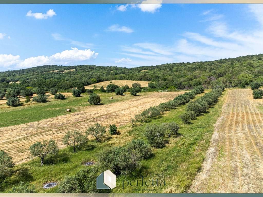 Terreno a Monte romano in Strada Blerana - Foto 2