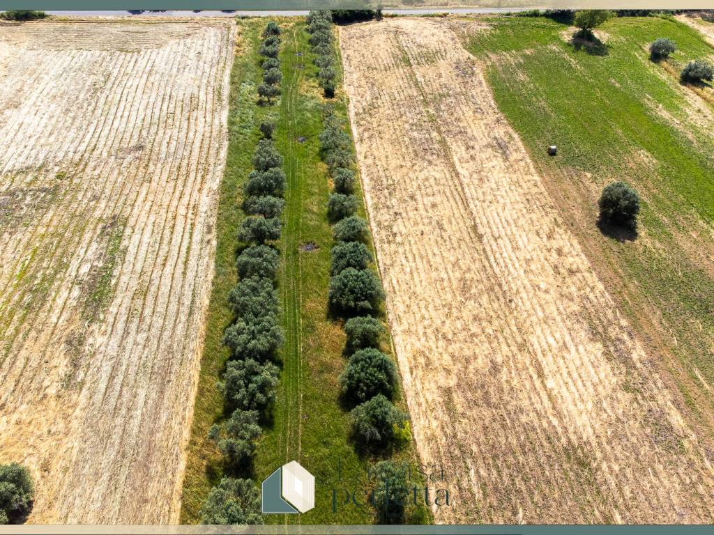Terreno a Monte romano in Strada Blerana - Foto 3