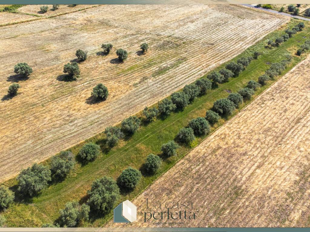 Terreno a Monte romano in Strada Blerana - Foto 5