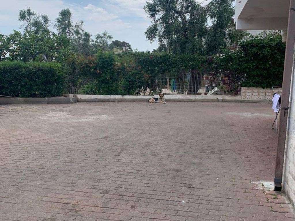 Villa a Vieste in Contrada Petto - Foto 4