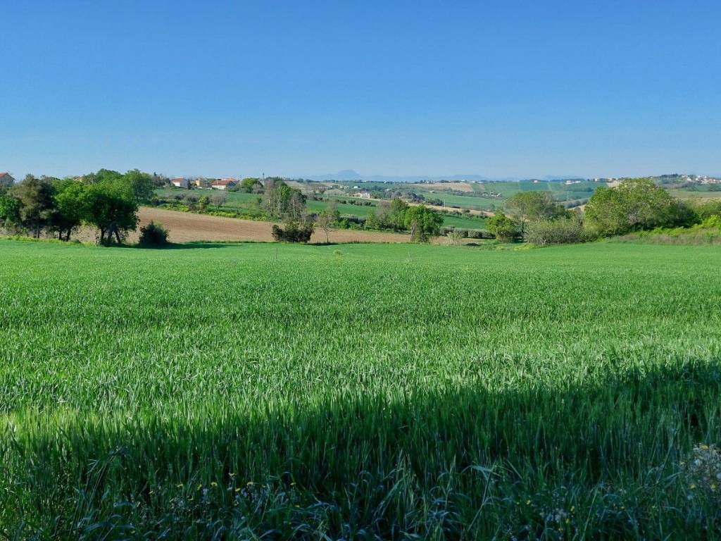 Villa a Senigallia in Strada della Grancetta, 35 - Foto 5