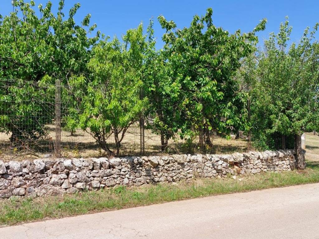 Terreno a Ceglie messapica in SP65 - Foto 2