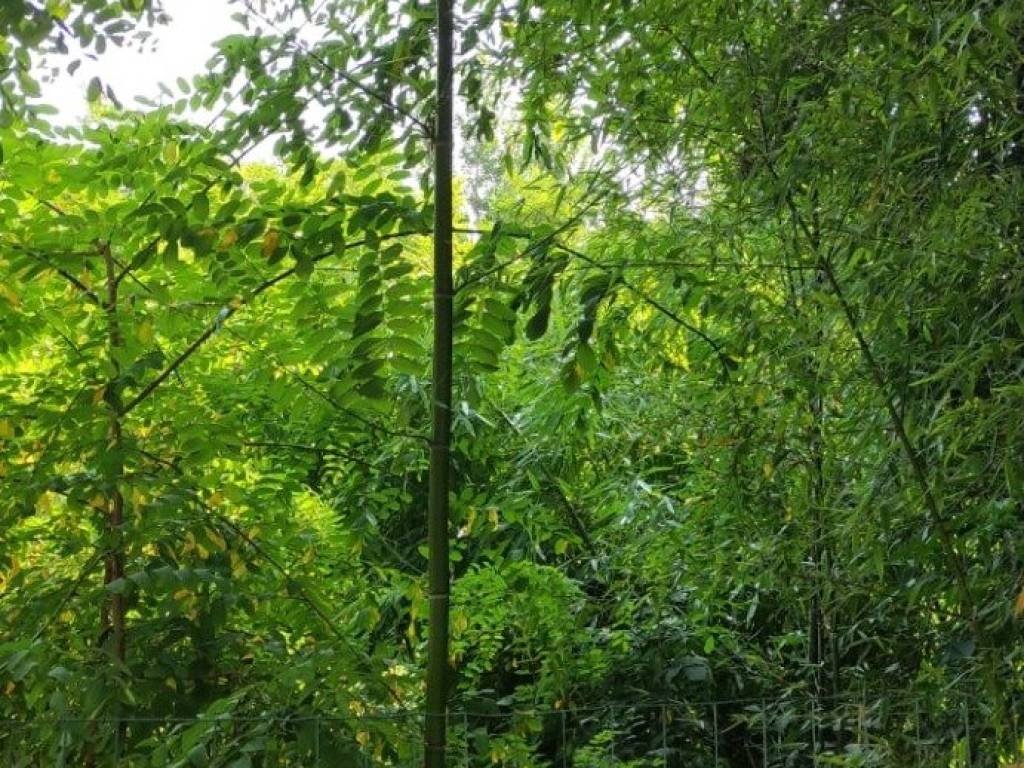 Villa a Molare in Via Roma, 52 - Foto 4