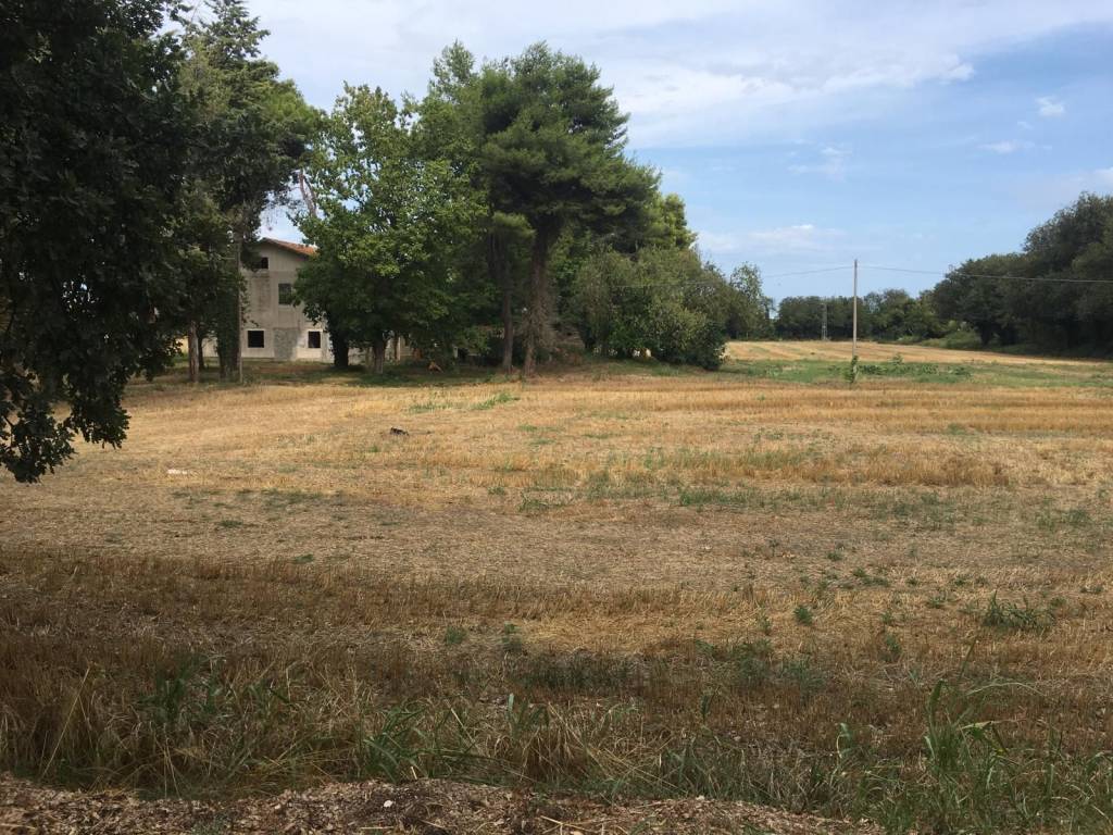 Terreno a Civitanova marche in Via del Torrione, 123 - Foto 3