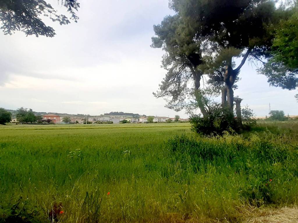 Terreno a Civitanova marche in Via del Torrione, 123 - Foto 4
