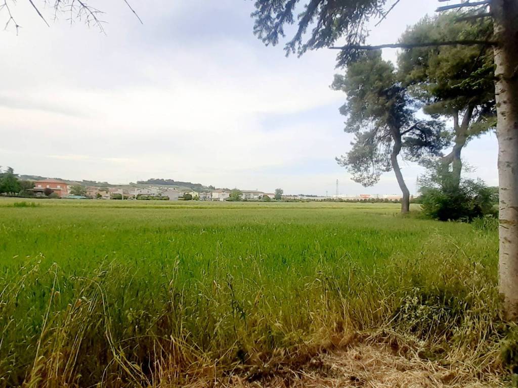 Terreno a Civitanova marche in Via del Torrione, 123 - Foto 5