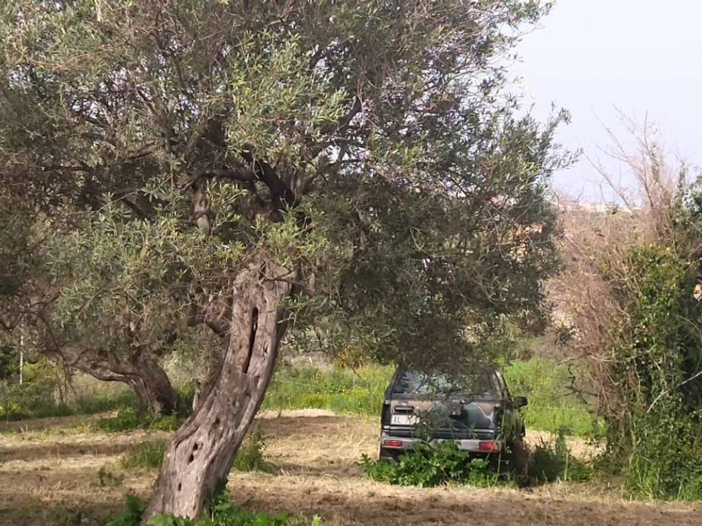 Terreno a Condrò in Contrada Licciardo - Foto 2