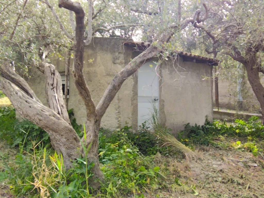 Terreno a Condrò in Contrada Licciardo - Foto 5