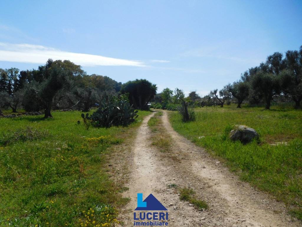 Villa a Sannicola in Via Masseria Tiggiano - Foto 2
