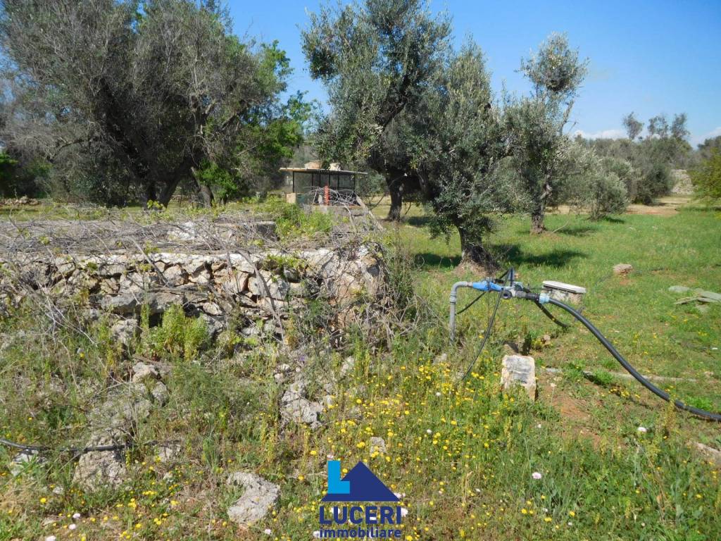 Villa a Sannicola in Via Masseria Tiggiano - Foto 5