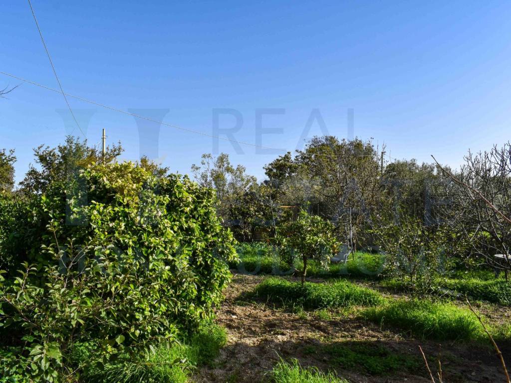 Villa a Noto in Via Tommaso Fazello, 228 - Foto 4