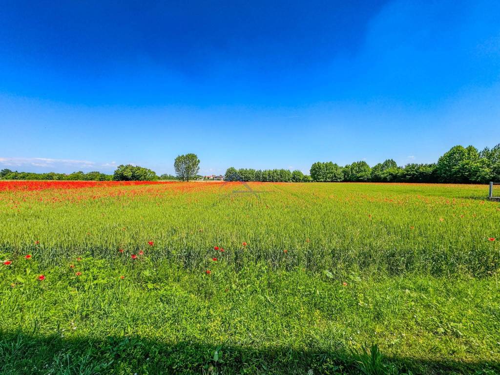Appartamento a Vigodarzere in Via Certosa - Foto 2