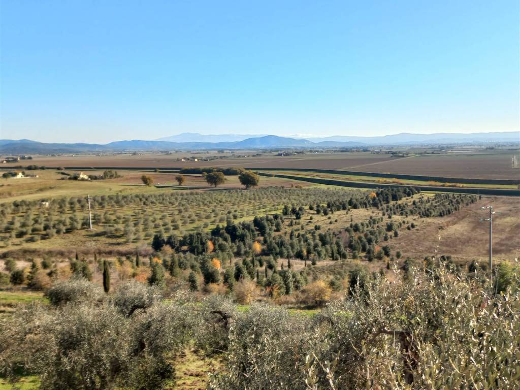 Rustico / casale a Castiglione della pescaia - Foto 5