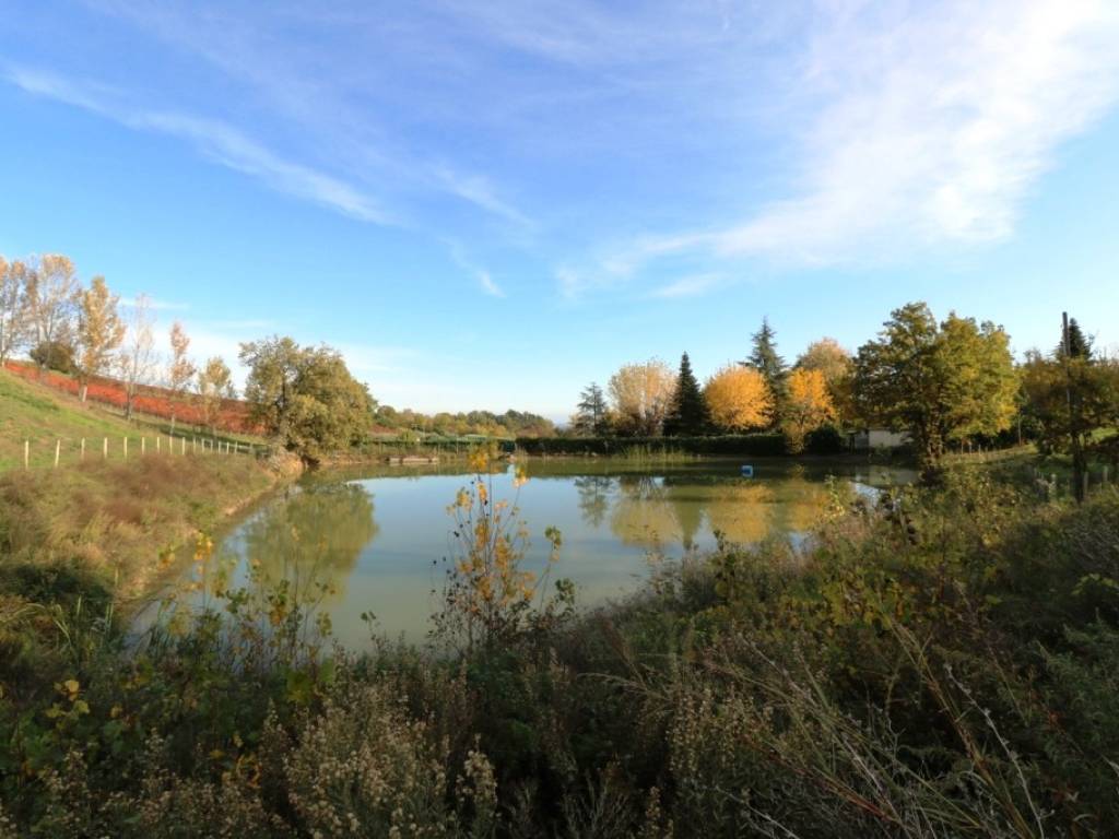 Rustico / casale a Castelvetro di modena in Via Sinistra Guerro - Foto 4