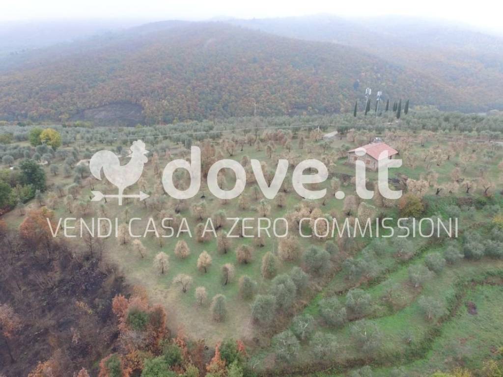 Terreno a Sinalunga in Via delle Persie - Foto 2