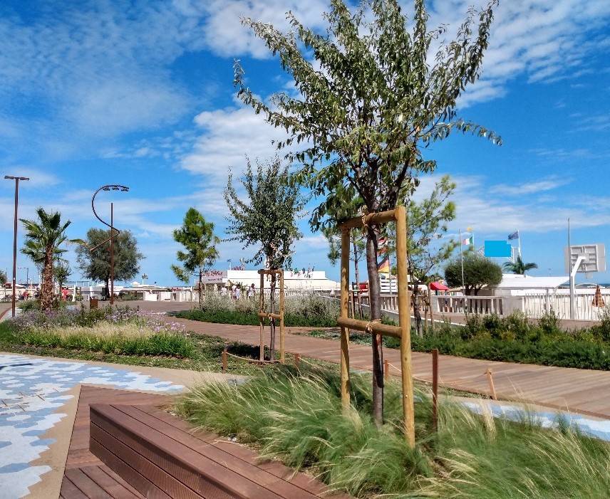 Progetto a Rimini in Viale Milano, 2 - Foto 4