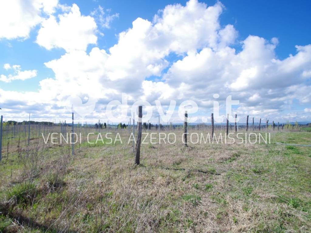 Terreno a Castelnuovo berardenga in Strada Provinciale Monteaperti - Foto 3
