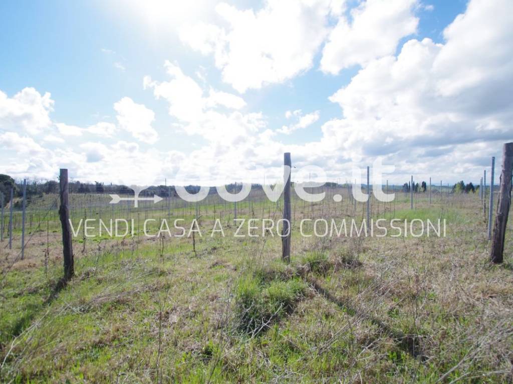Terreno a Castelnuovo berardenga in Strada Provinciale Monteaperti - Foto 4
