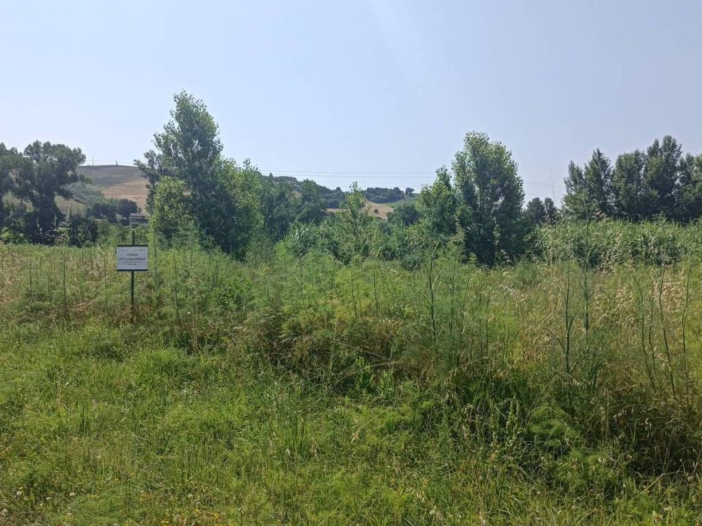 Terreno a San severino marche - Foto 4