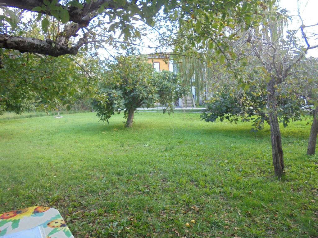 Rustico / casale a Cantalupo nel sannio - Foto 3