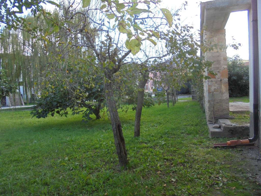 Rustico / casale a Cantalupo nel sannio - Foto 4